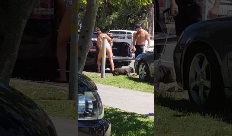 Idiota Descarrega a sua Frustração no Pobre Cão. IDIOTA!!