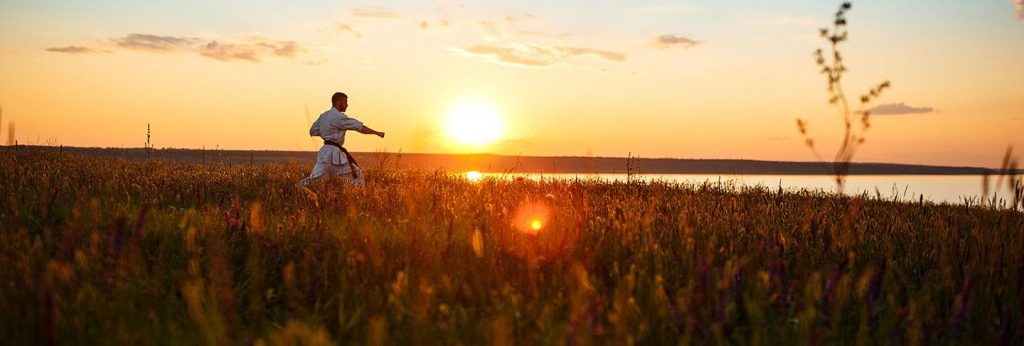 Silhouette of sportive man training karate in field at sunrise