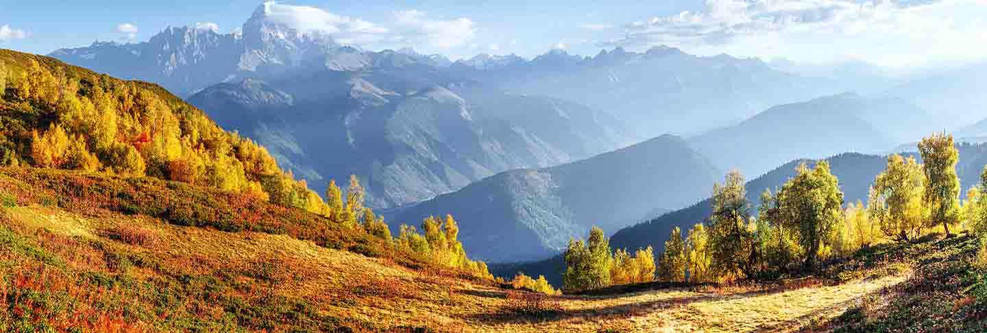 Fantastic forest in carpathian ukraine. there comes a golden autumn in the valleys