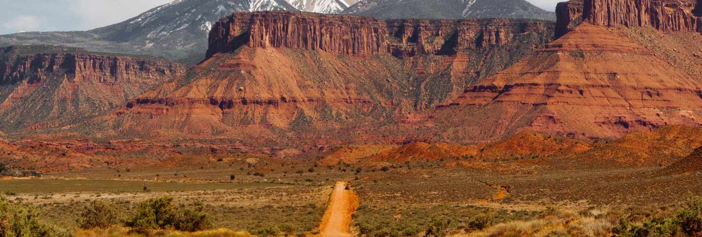 Empty dirt road in the middle of dry bushes towards the desert