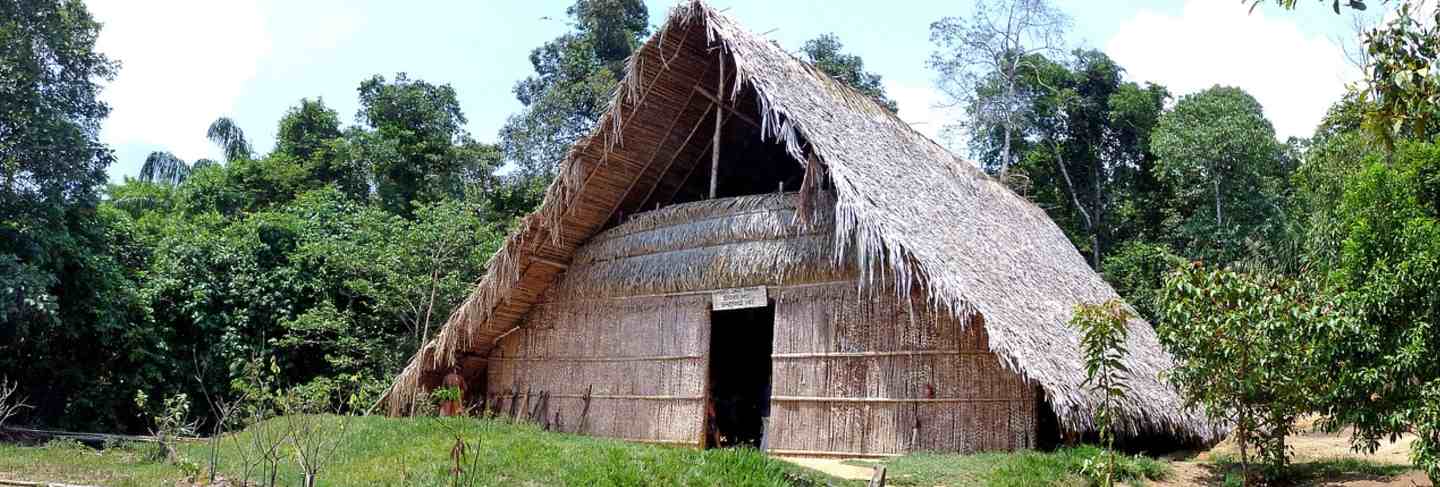 Hut brazil rainforest amazonas nature tropical