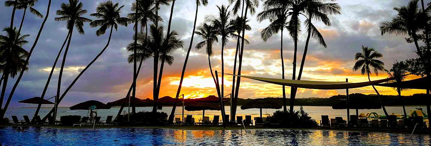 Palm tree paradise sunset in fiji