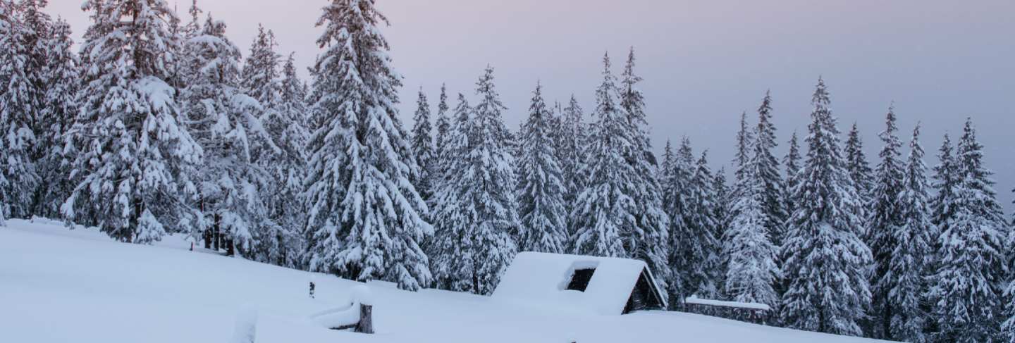 Snowy forest in the carpathians. a small cozy wooden house covered with snow. the concept of peace and winter recreation in the mountains. happy new year