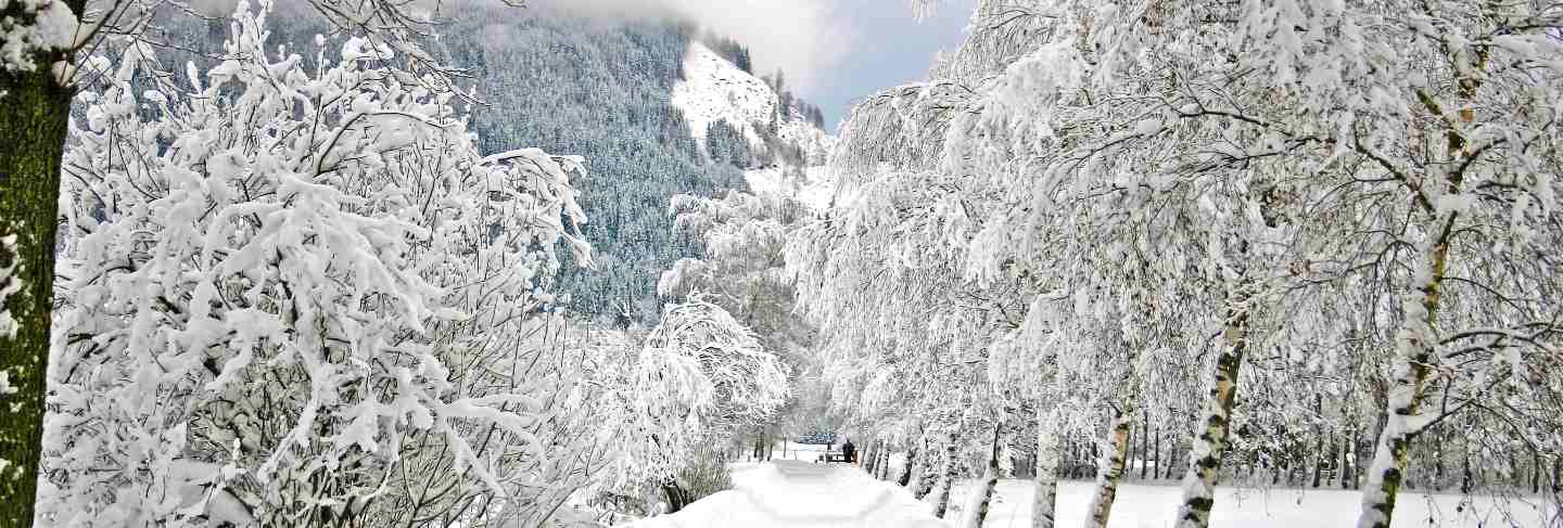 Winter landscape from austria
