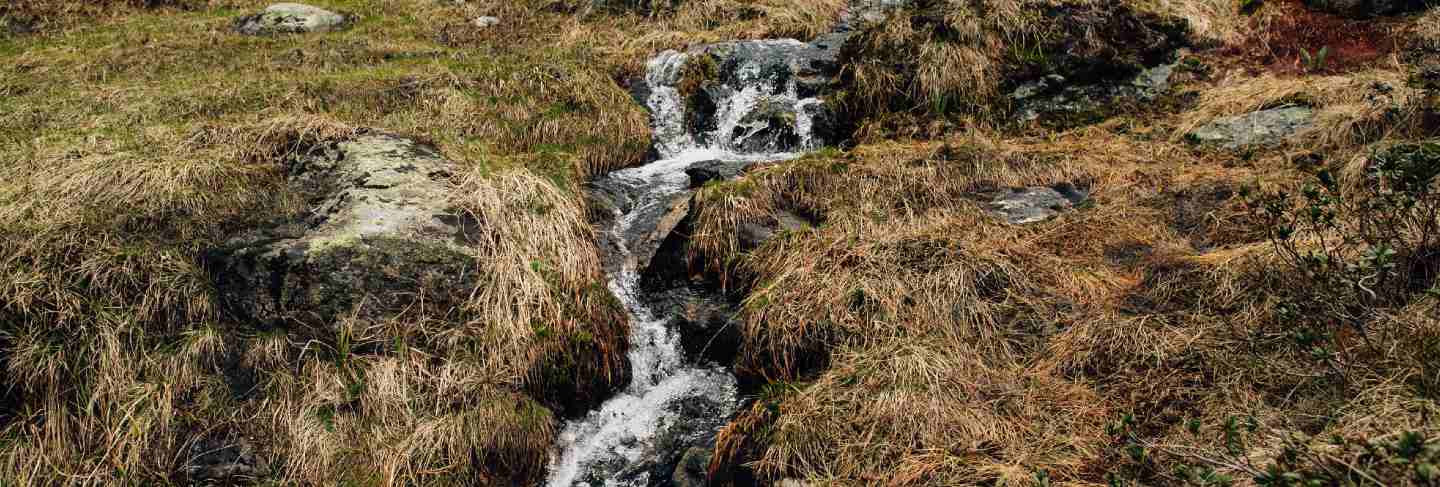 Mountain creek with crystal clear water in swiss alps