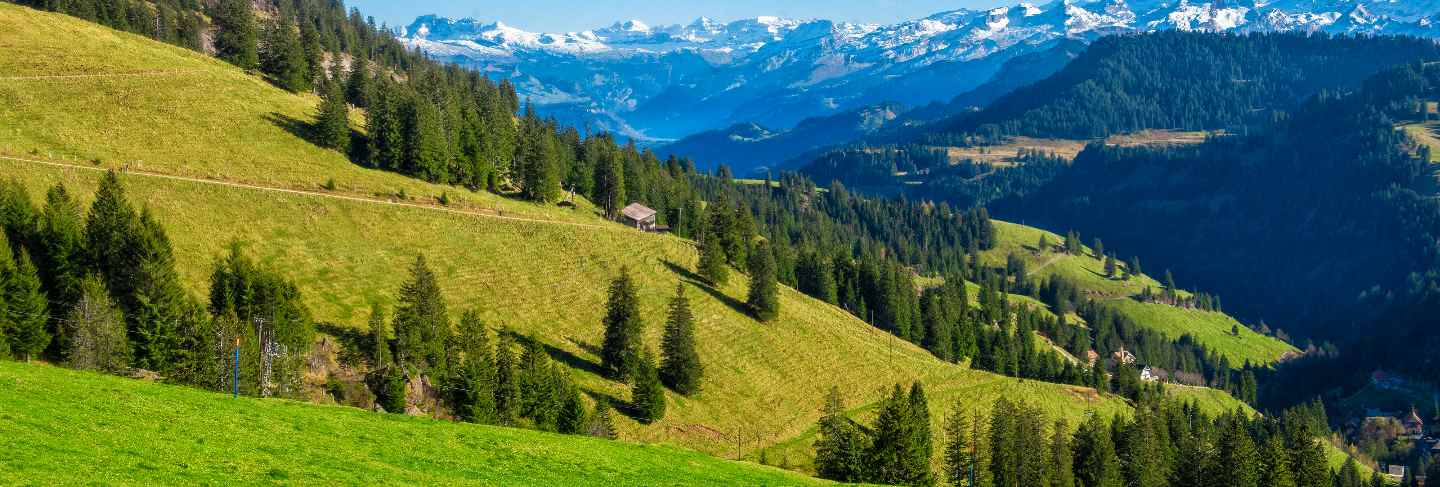 Beautiful swiss mountain in summer