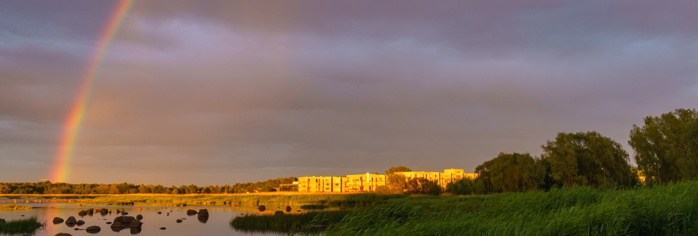 Rainbow over stony seacoast by sunset