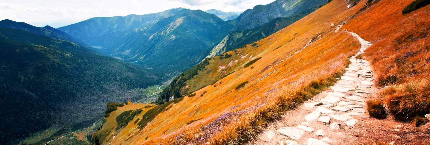 Fantasy and colorful nature landscape. carpathia.