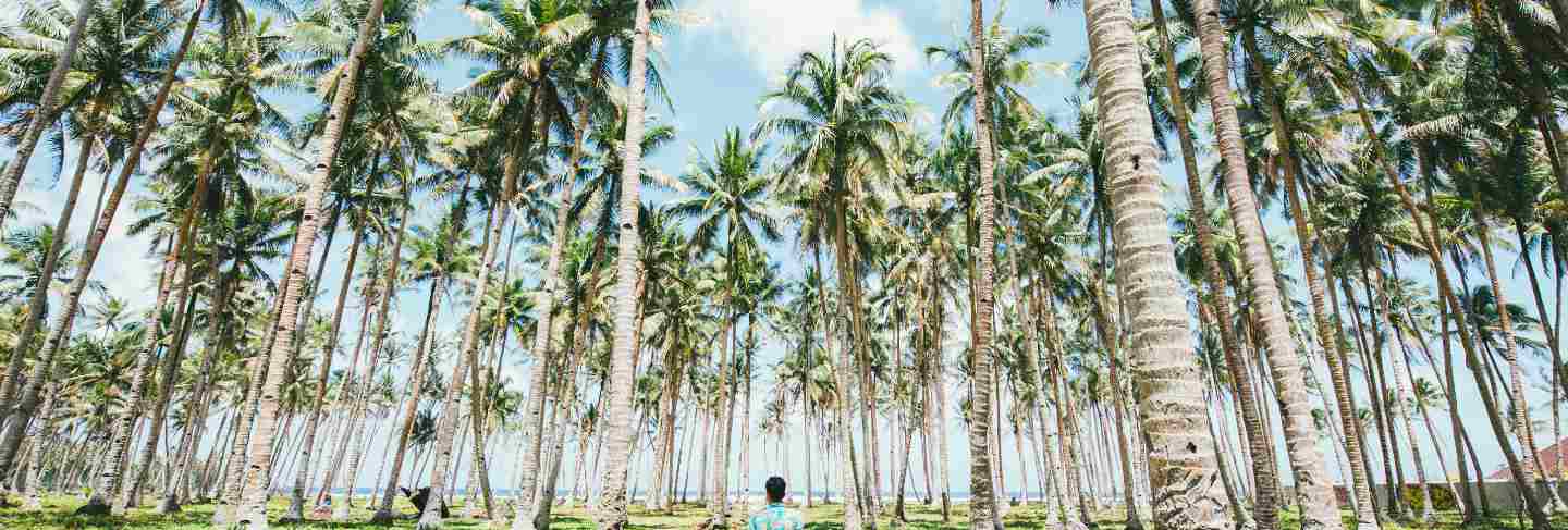 Man standing on the beach and enjoying the tropical place with a view. caribbean sea colors and palm trees in the background. concept about travels and lifestyle