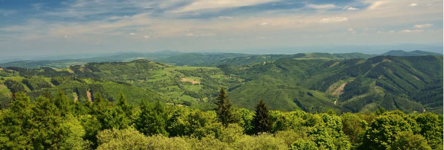 Beautiful landscape in the mountains in summer