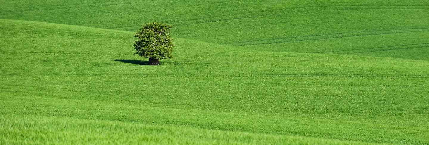 Moravian tuscany