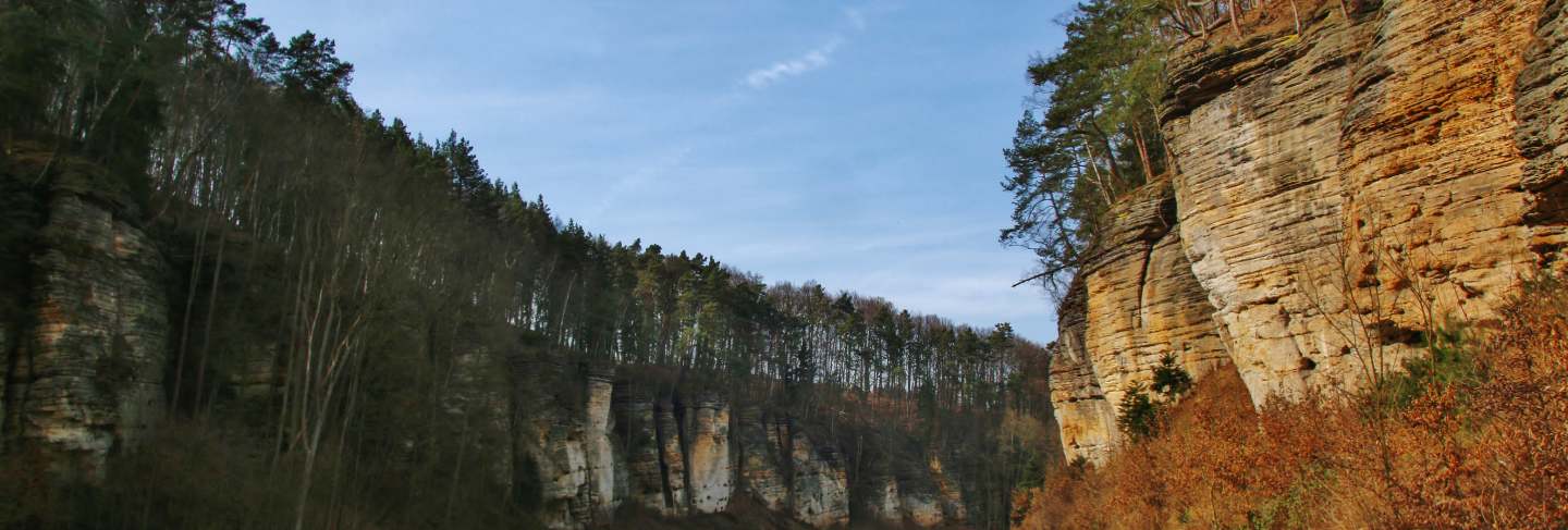 Rocks and forest