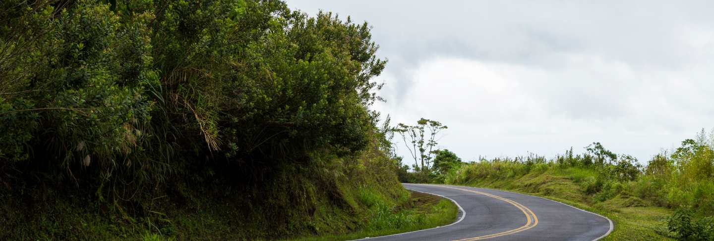 Empty mountain road near rainforest