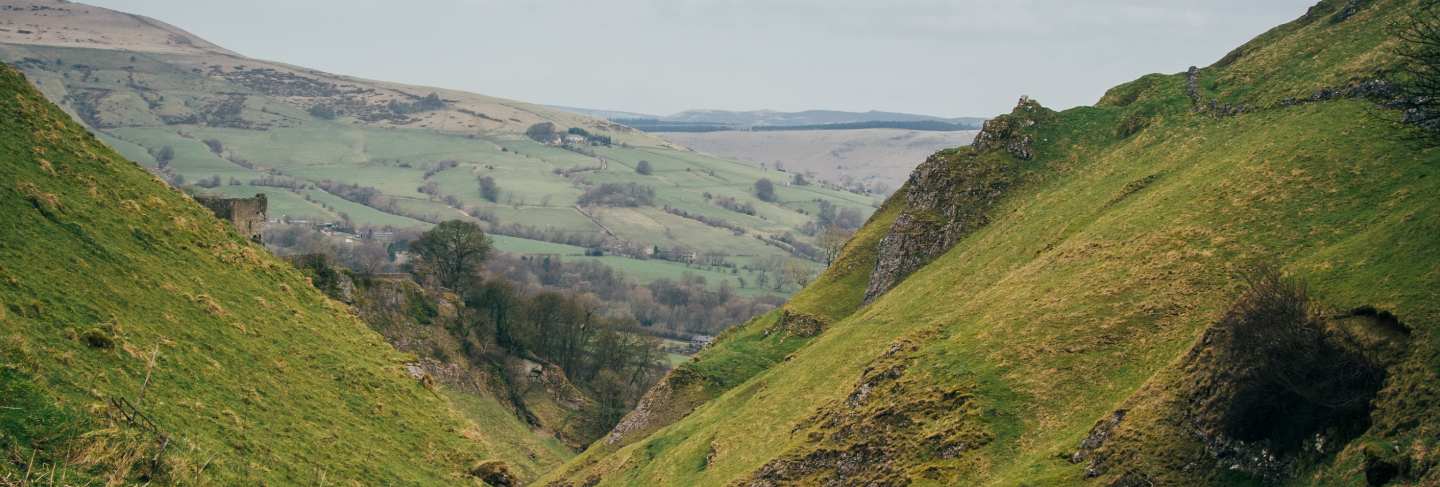 Vertical shot of beautiful green hills with a small water stream and ship grazing the grass