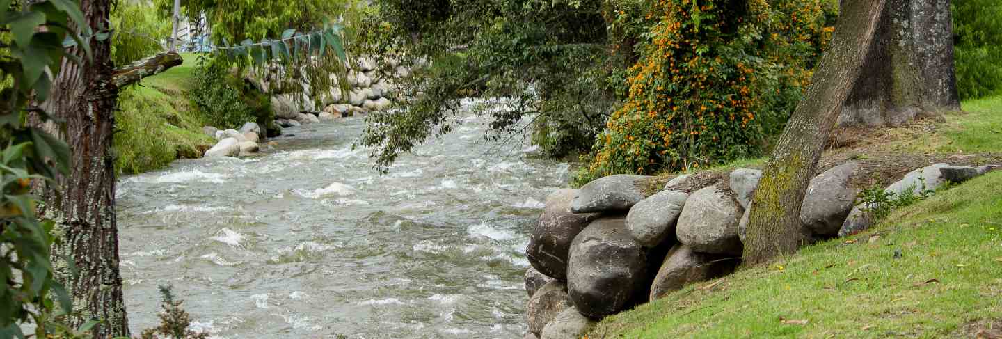 Beautiful river going through a countryside town park