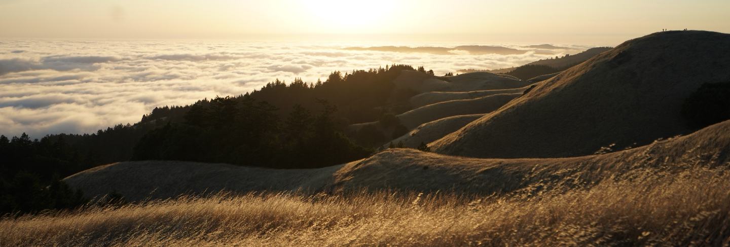 High hills covered in dry grass on a sunny day with a visible skyline on mt. tam in marin, ca