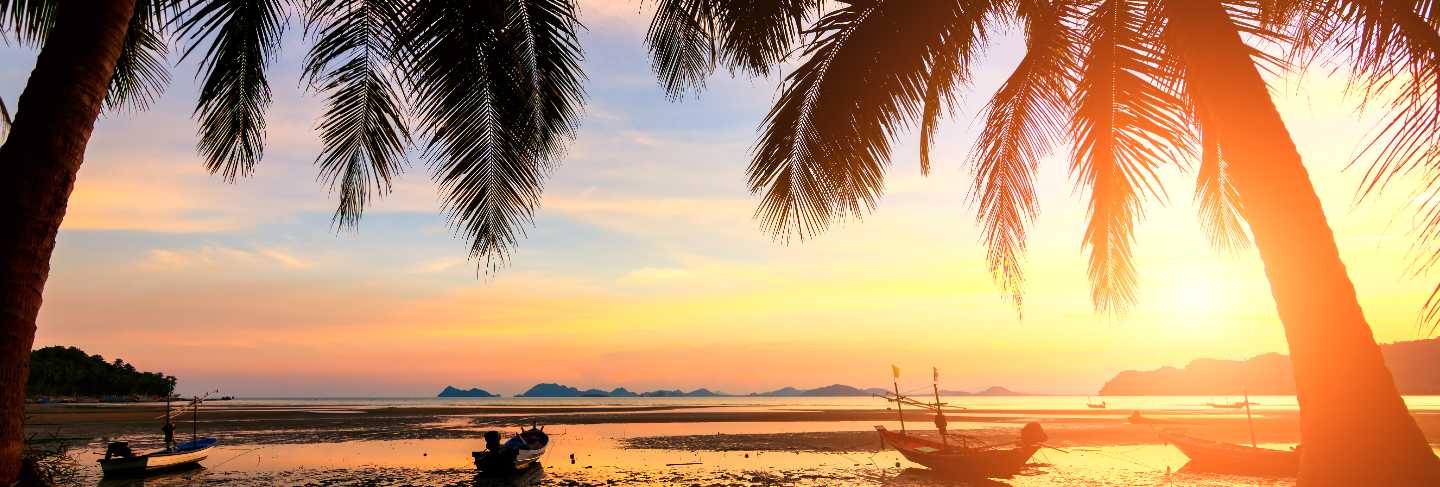 Sunset over the tropical beach with coconut palm and boat at koh tao