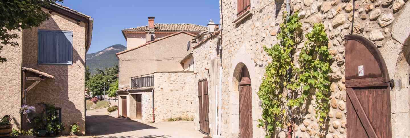 The medieval street