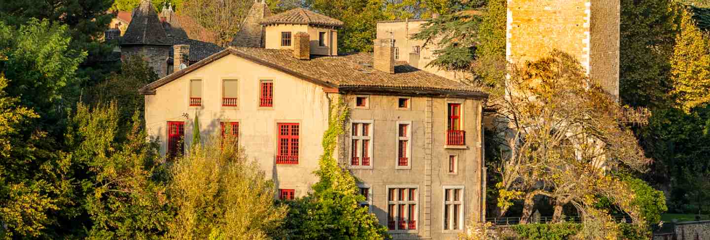 Ile barbe in lyon, france