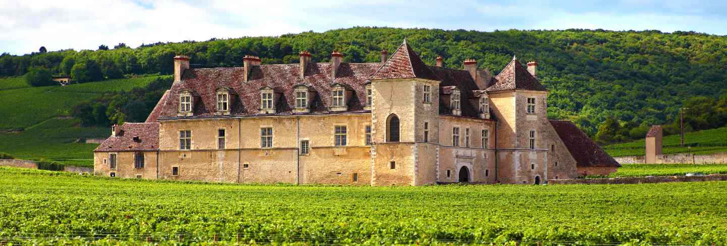 French vineyard chateau