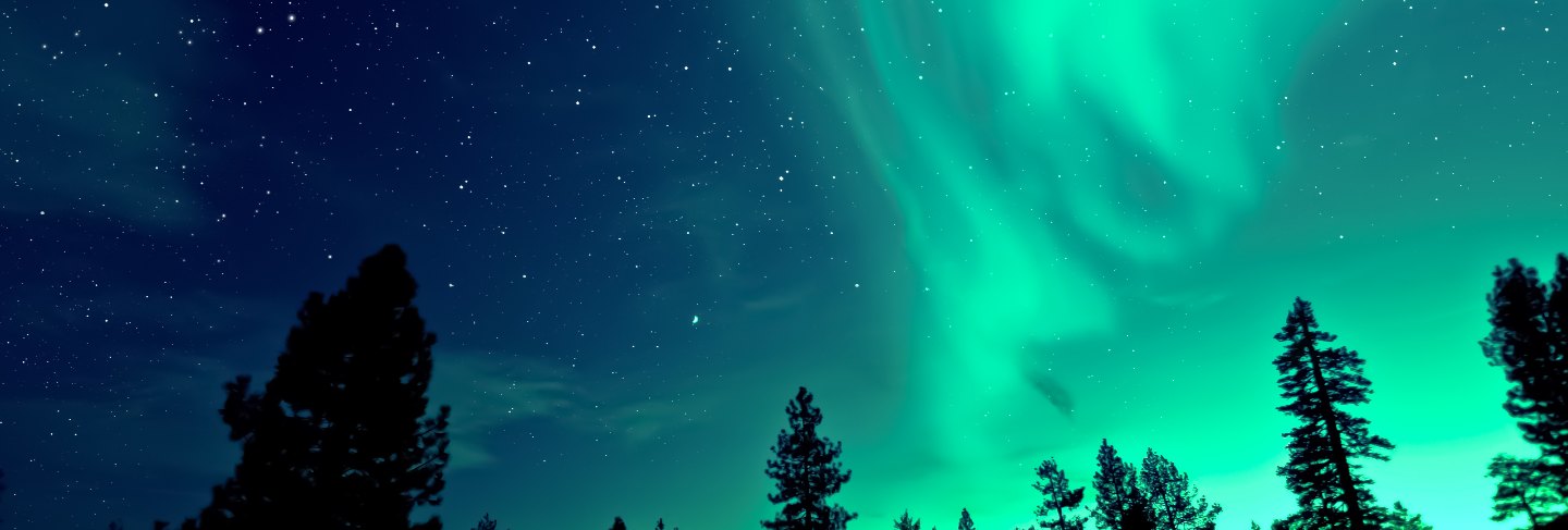 Northern lights aurora borealis over trees