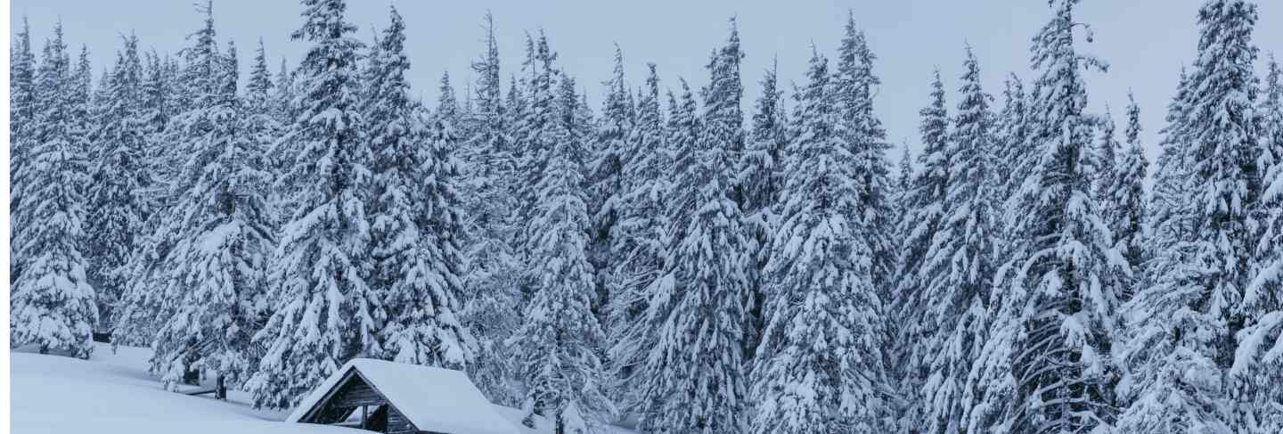 Snowy forest in the carpathians. a small cozy wooden house covered with snow. the concept of peace and winter recreation in the mountains. happy new year