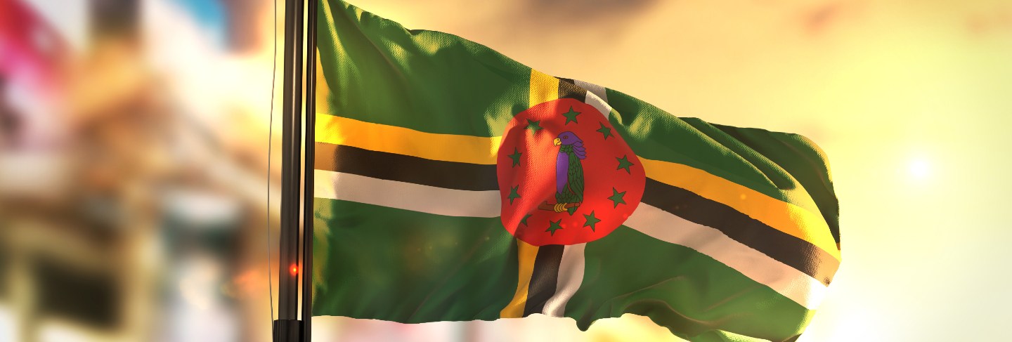 Dominica flag against city blurred background at sunrise backlight