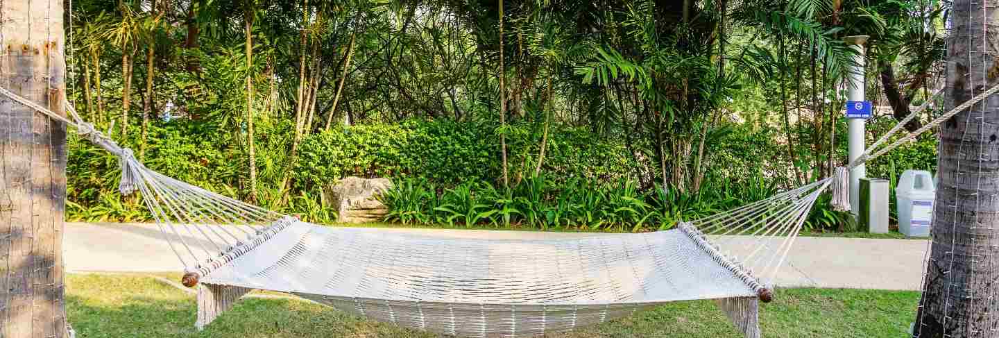 Empty white hammock between pine trees on tropical beach as a symbol of relaxation