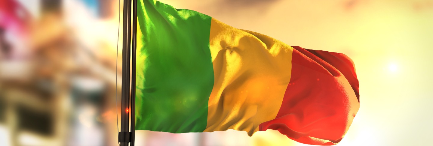 Mali flag against city blurred background at sunrise backlight