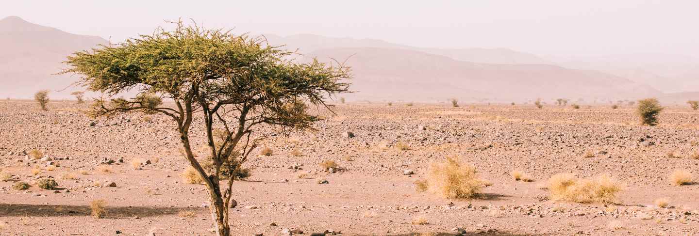 Desert landscape in morocco