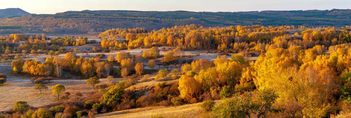 Autumn grasslands of inner mongolia
