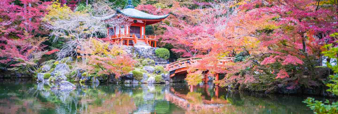 Beautiful daigoji temple with colorful tree and leaf in autumn season