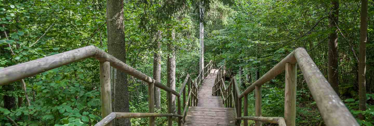Wooden path and stairs leading to staburags cliff of rauna. latvia. Baltic