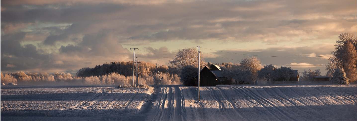 Landscape of snowy winter morning in krimulda,latvia