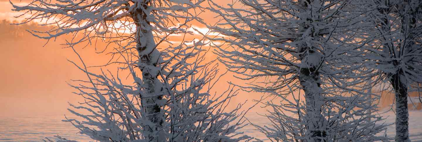 Landscape of snowy winter morning in krimulda,latvia