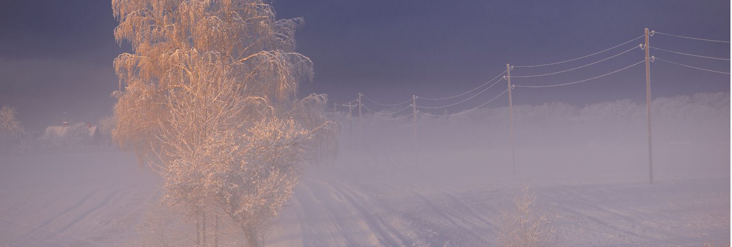 Winter morning landscape in krimulda,latvia