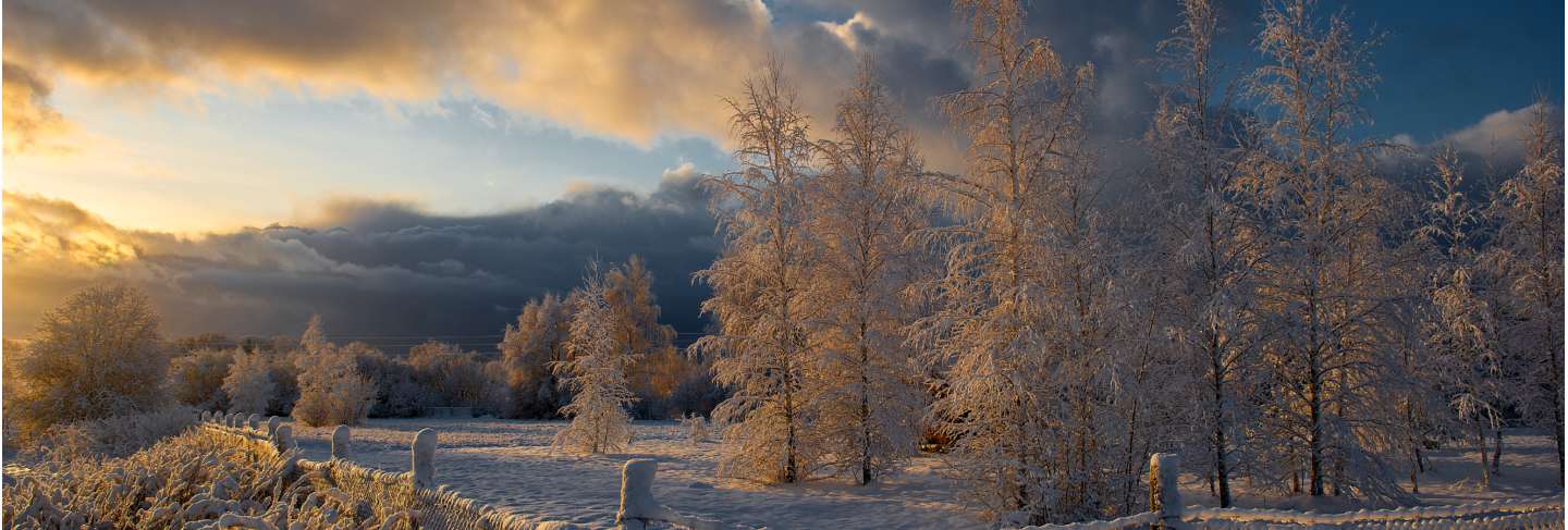 Winter morning landscape in krimulda,latvia
