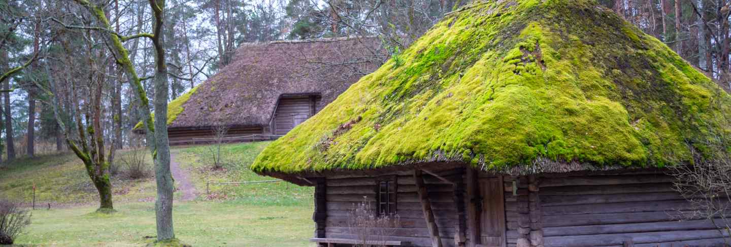 Village. old wooden log house. view with window, front door and with moss on the roof