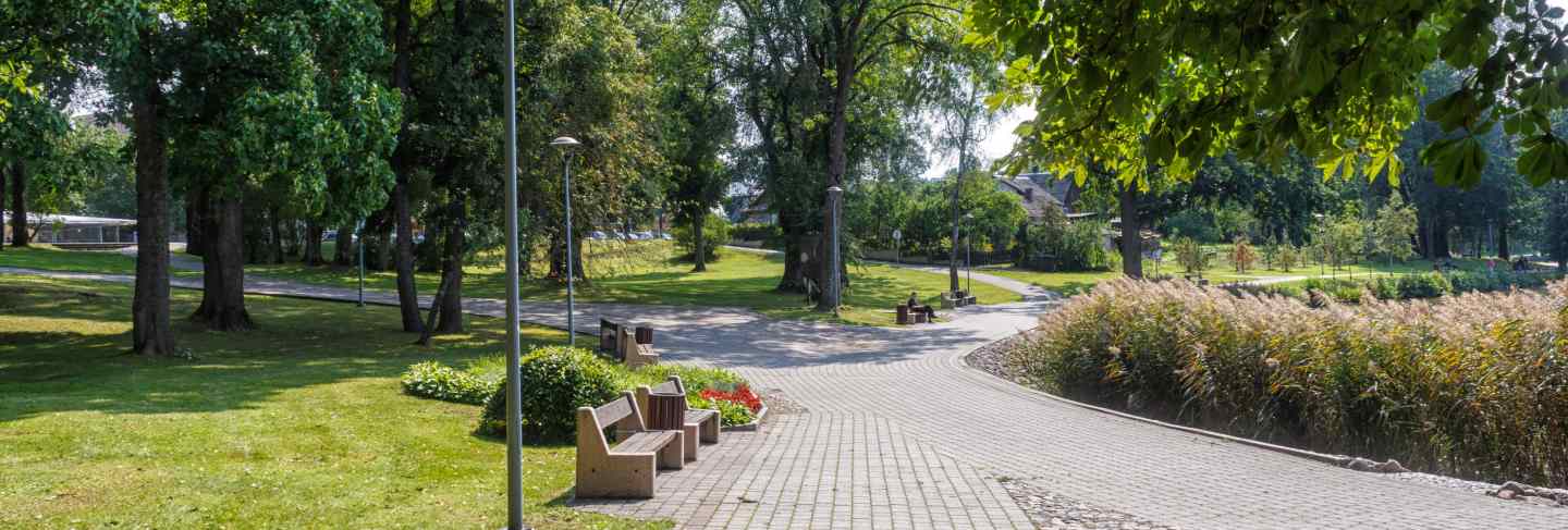 A forest park with large trees