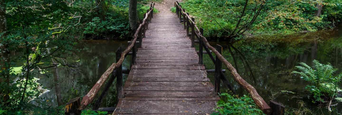 Wooden bridge over the river