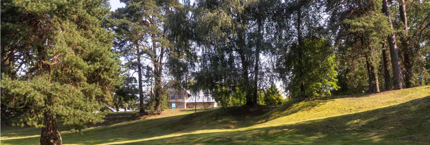 A forest park with large trees