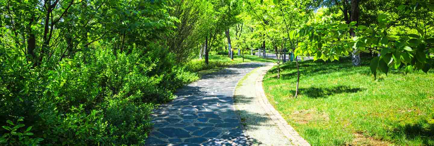 Beautiful city park