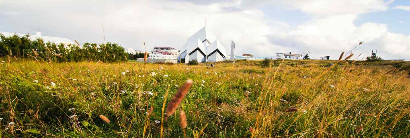 The white church