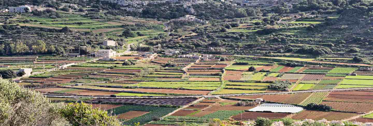 Panoramic scenic view of typical winter malta fields Premium Photo