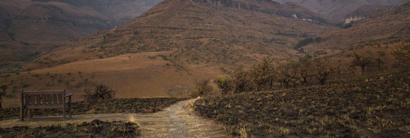 Burnt dry grass field in the desert with a narrow pathway and beautiful rocky mountains