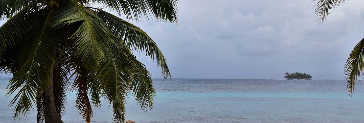 Palms and beach