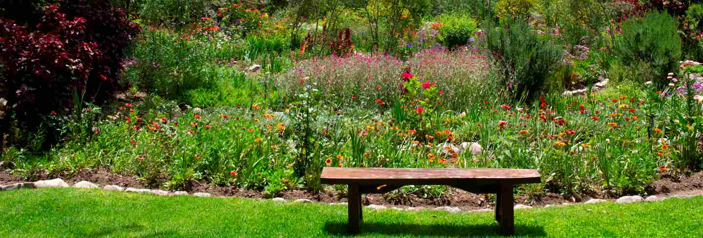Plants in a garden, willka tika, sacred valley, cusco region, peru