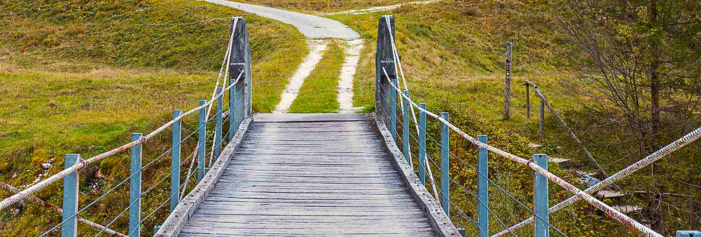 Wooden bridge and colorful orange trees in autumn season in slovenian countryside