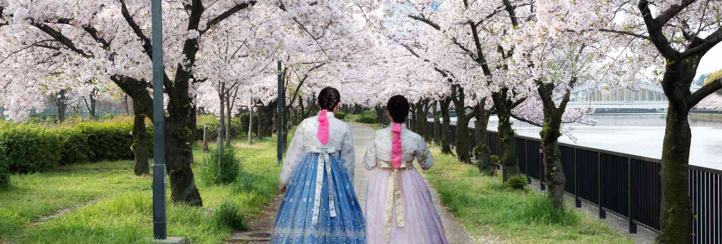 Woman wearing korean national dress walking in park and cherry blossom in seoul, south korea