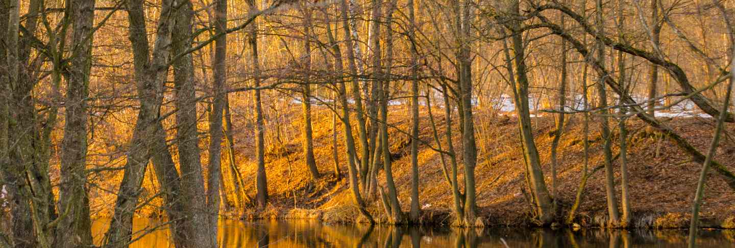 Svisloch river flows in minsk and creates scenic spots. belarus.